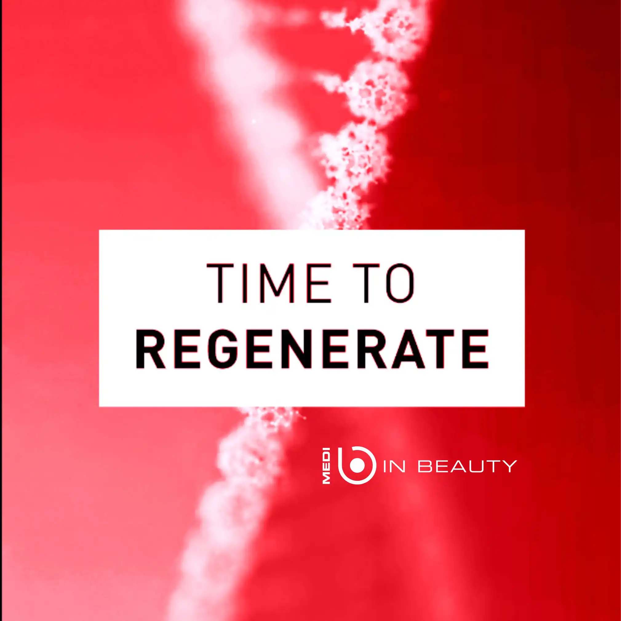 Τι πραγματικά σημαίνει “Αναγέννηση”;